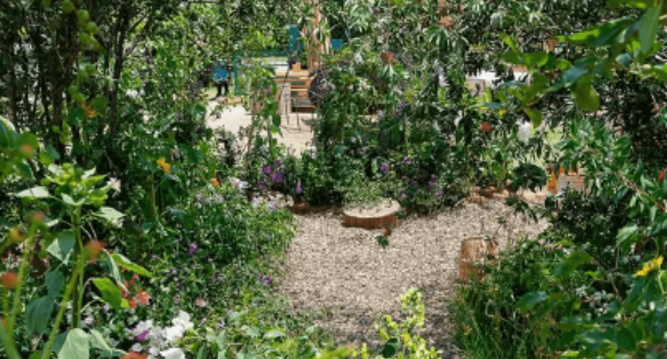 SAPmx presente en el Festival de Flores y Jardines 2025