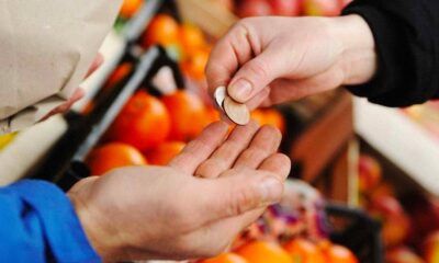 Actividad económica estatal fue heterogénea