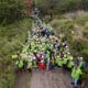 Fundación Traxión moviliza a tres mil voluntarios a favor del medio ambiente