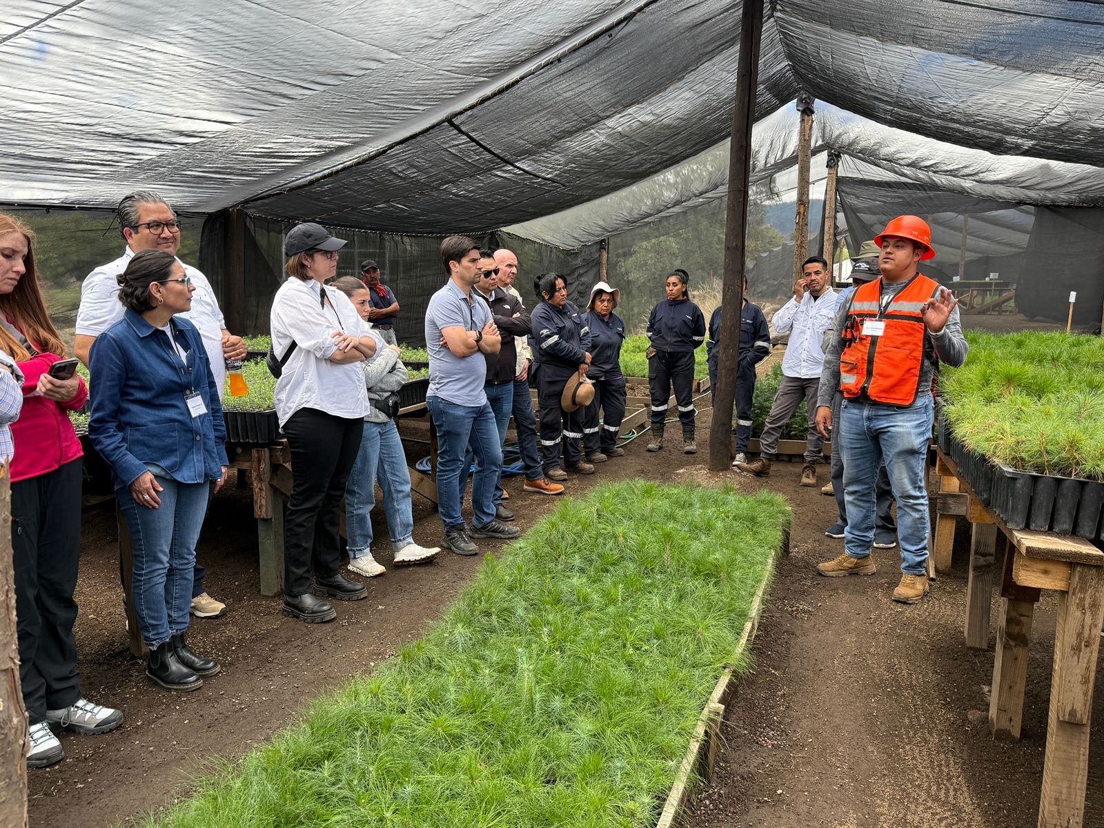 Impulsan Fundación FEMSA y Agua Capital recarga de acuíferos