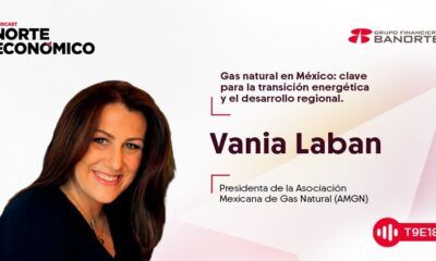 Panorama e importancia del gas natural