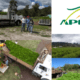 APEAM entrega 690 mil pinos en Michoacán y Jalisco