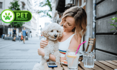 Auge pet friendly revoluciona el retail en México