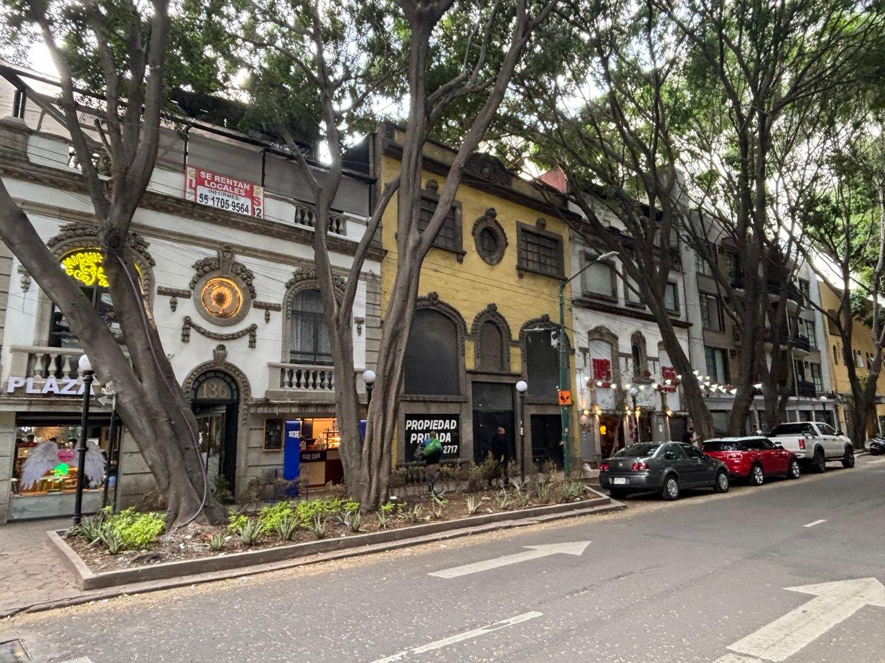 Empresarios impulsan Zona Rosa rumbo al Mundial 2026
