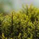 Los Seguros de Responsabilidad Ambiental son indispensables