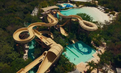 Nuevas atracciones en Jungala Selva Loop y Palm Rattler