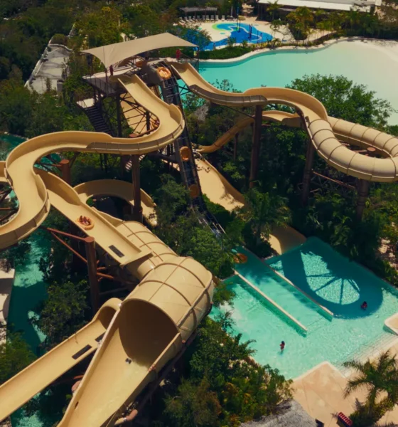 Nuevas atracciones en Jungala Selva Loop y Palm Rattler