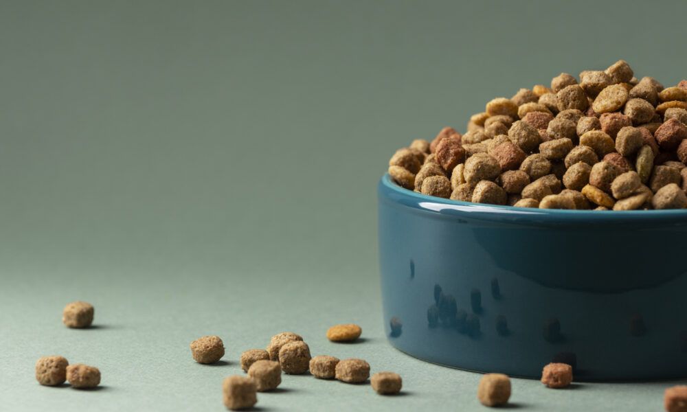 Crece la demanda de dietas especializadas para perros y gatos en México