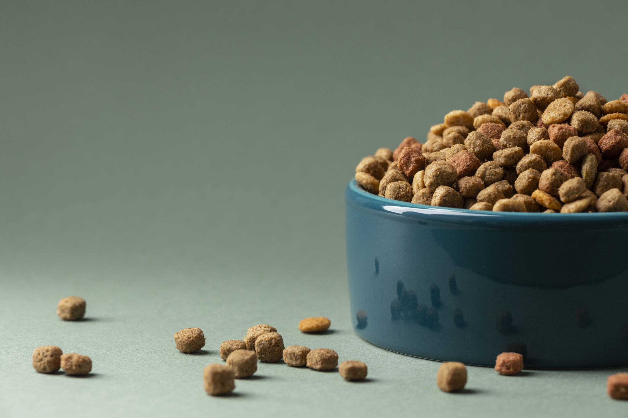 Crece la demanda de dietas especializadas para perros y gatos en México