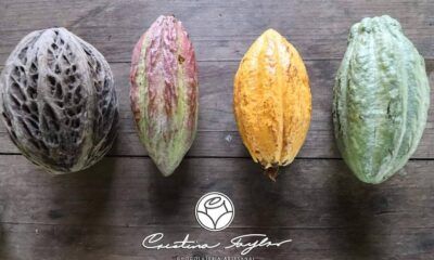 Experiencia sensorial de chocolate artesanal en Tlaquepaque