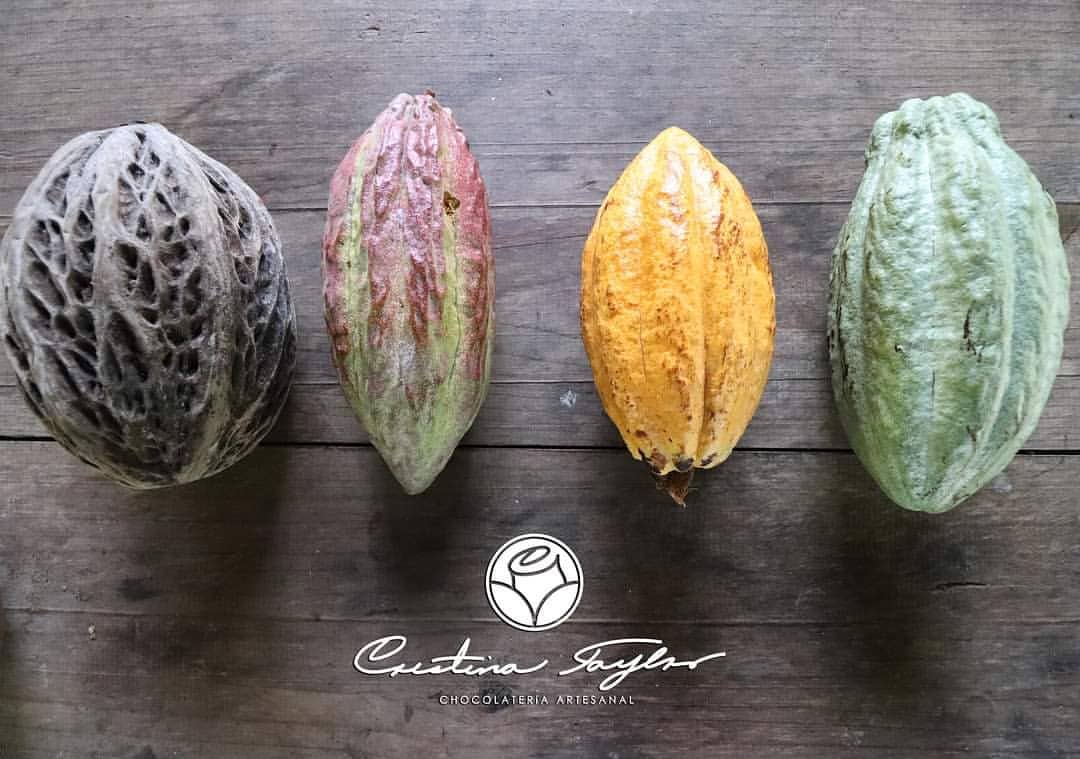 Experiencia sensorial de chocolate artesanal en Tlaquepaque