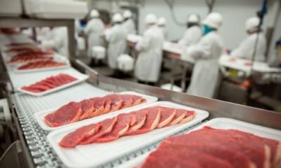 ALFA consolida su estrategia en Europa con reestructuración del negocio cárnico