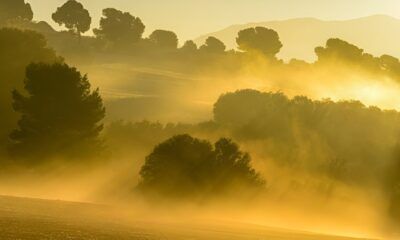 Vaisala y AGCLIMATE promueven agricultura sostenible y baja en emisiones