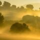 Vaisala y AGCLIMATE promueven agricultura sostenible y baja en emisiones