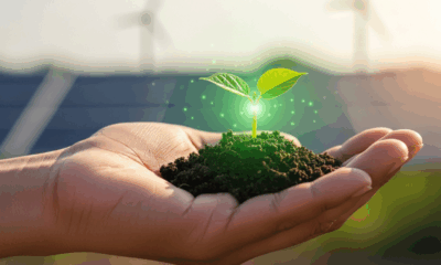 Cómo la digitalización impulsa el progreso real en sostenibilidad