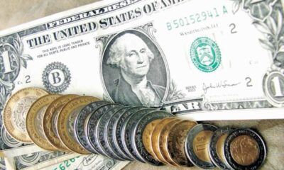 Muestra productividad retroceso