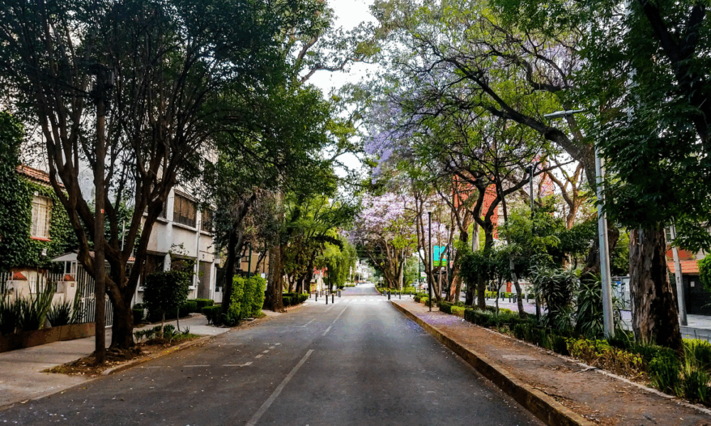 ¿Vivir cerca del Metro aumenta la plusvalía de la vivienda en CDMX