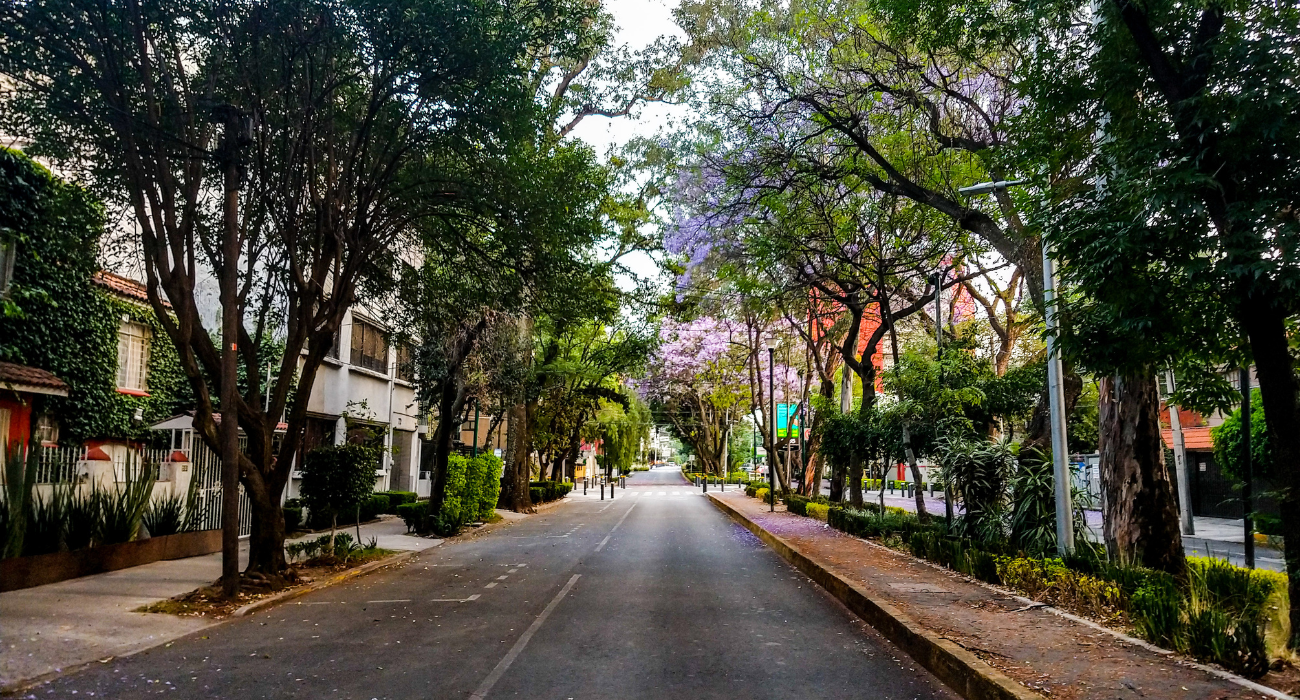 ¿Vivir cerca del Metro aumenta la plusvalía de la vivienda en CDMX