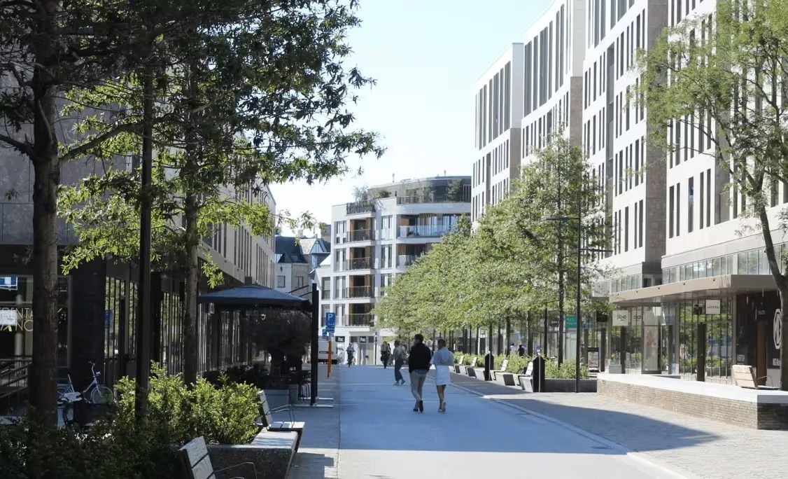 Cómo aprovechar el agua de lluvia en México ante el cambio climático