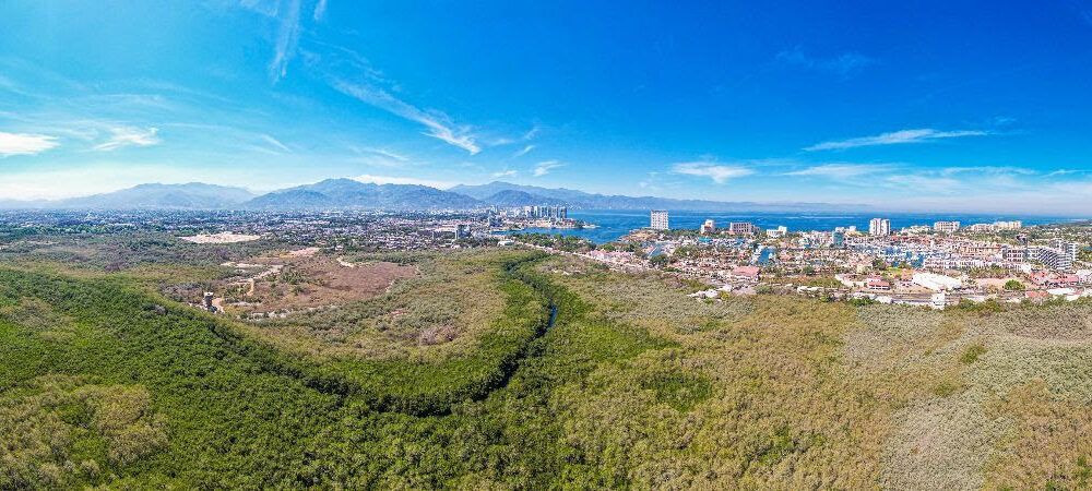 Estero El Salado, el pulmón natural que protege a Puerto Vallarta