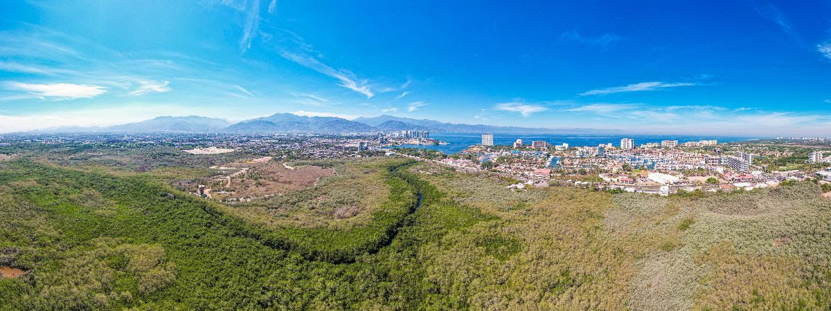 Estero El Salado, el pulmón natural que protege a Puerto Vallarta