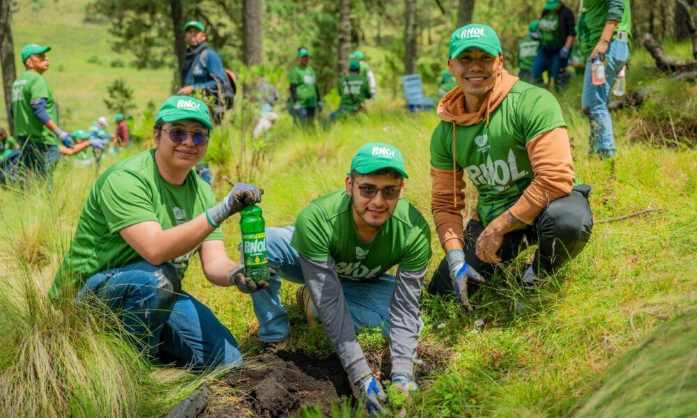 Fundación AlEn abre convocatoria de donativos 2026