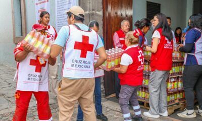 Fundación AlEn lanza convocatoria de donativos 2026