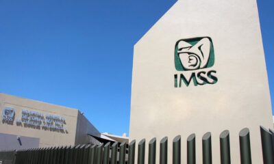 IMSS cierra 2025 con récord histórico de empleos afiliados