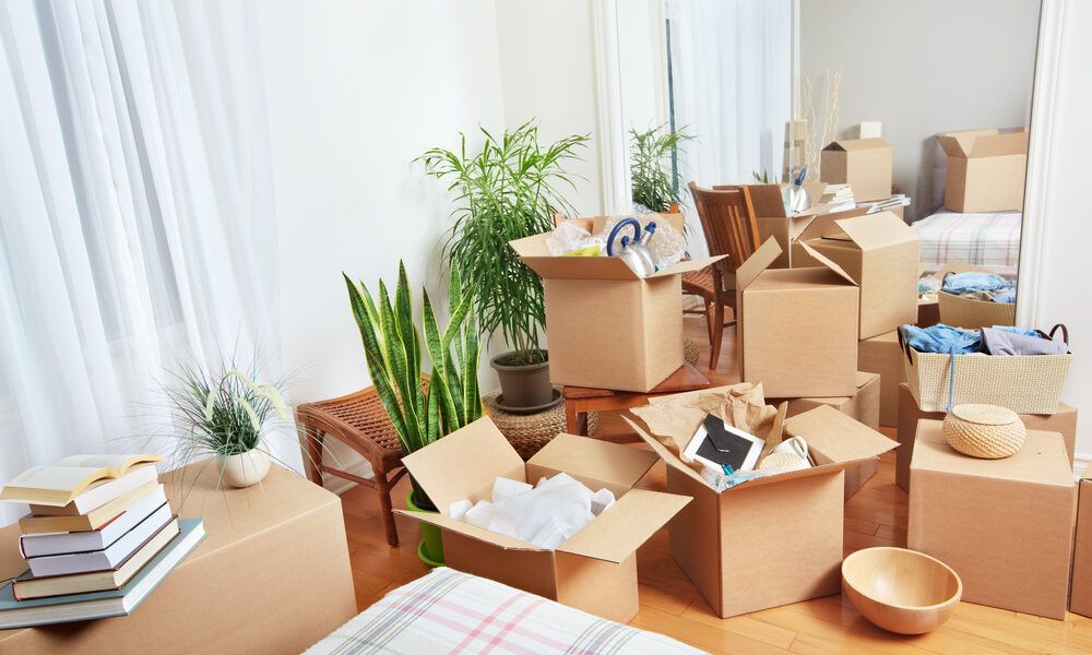 Mudanza sin sorpresas: guía financiera para cambiar de casa