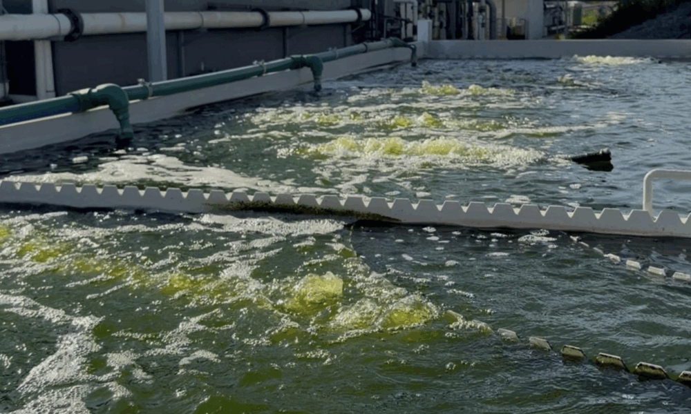 ALIS desarrolla tecnología para eliminar contaminantes del agua residual