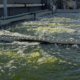 ALIS desarrolla tecnología para eliminar contaminantes del agua residual