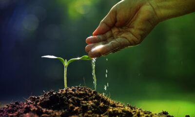 Ahorro de agua en edificios 5 claves para optimizar el consumo