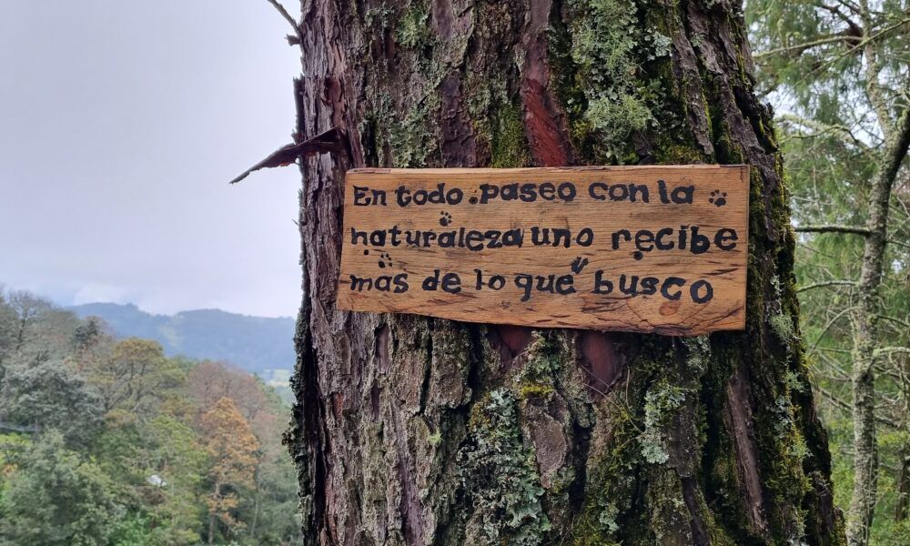 Sierra Gorda avanza en sostenibilidad con apoyo empresarial