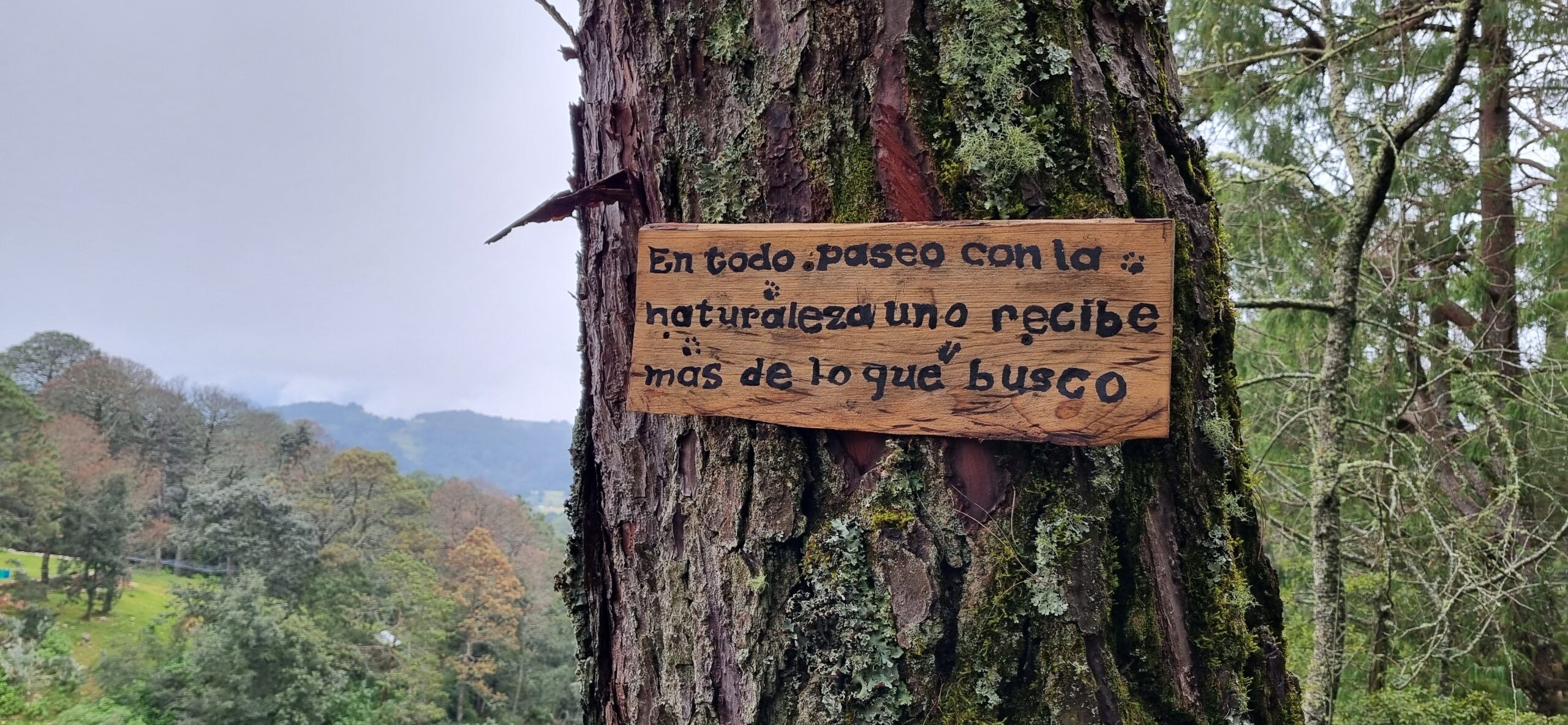 Sierra Gorda avanza en sostenibilidad con apoyo empresarial