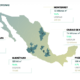 CBRE reporta recuperación del mercado de oficinas en México