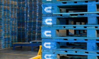 Cómo la logística mejora la cadena de frío en productos lácteos