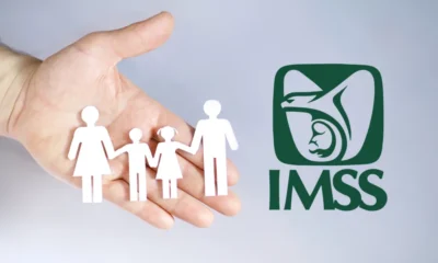IMSS reporta 22.7 millones de empleos en marzo de 2026