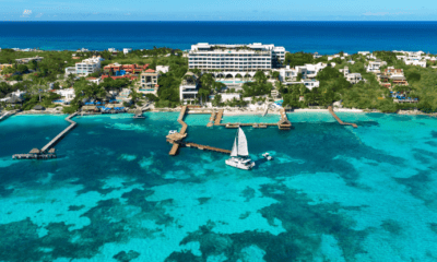 Impression Isla Mujeres celebra Día de la Tierra con Shark Safari