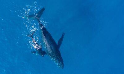Jueza suspende buques metaneros en el Golfo de California