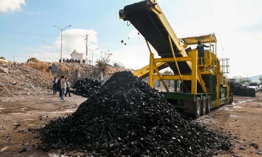 Moctezuma reporta crecimiento y avances en sostenibilidad en 2025