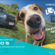 OMODA JAECOO participa en evento pet-friendly en Wooftop Condesa
