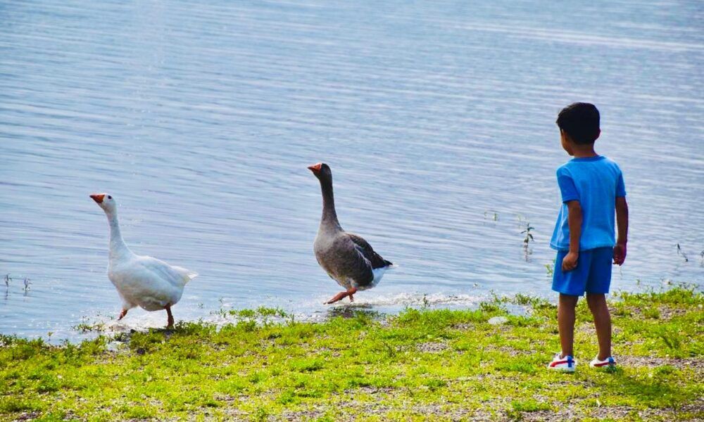Qué hacer en León el Día del Niño actividades y eventos para familias