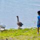 Qué hacer en León el Día del Niño actividades y eventos para familias