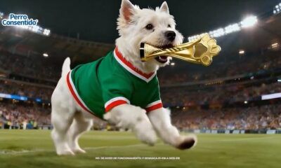 Del Perro Consentido impulsa campaña sobre cuidado de mascotas en casa