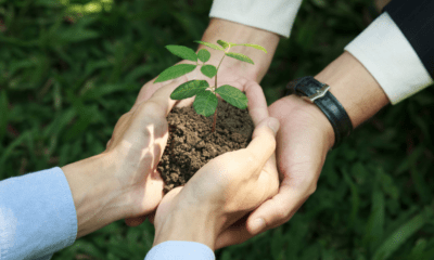 Finsus supera 700 mil clientes en Informe de Sustentabilidad