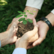 Finsus supera 700 mil clientes en Informe de Sustentabilidad