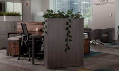 Oficinas apuestan por diseño interior más cálido y flexible