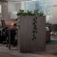 Oficinas apuestan por diseño interior más cálido y flexible