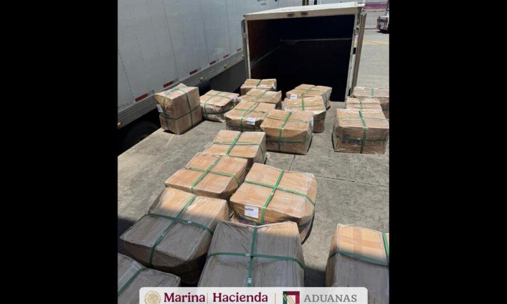 ANAM y SEMAR aseguran embarque con posible raíz de tepezcohuite en el AICM