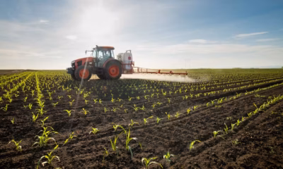 Agroindustria y construcción mexicanas apuntan al Norte de África